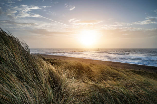 木の遊歩道とビ�ーチの砂丘システムの美しい日の出の風景画像 - beach sunrise waterbreak sea ストックフォトと画像