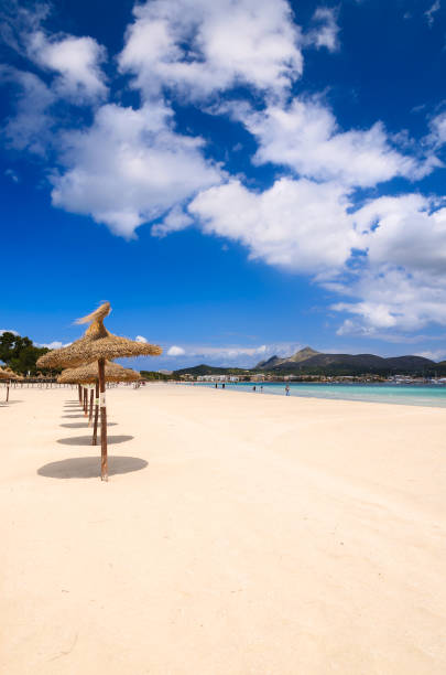istock Umbrellas on sandy Alcudia beach, Majorca island, Spain 904857140