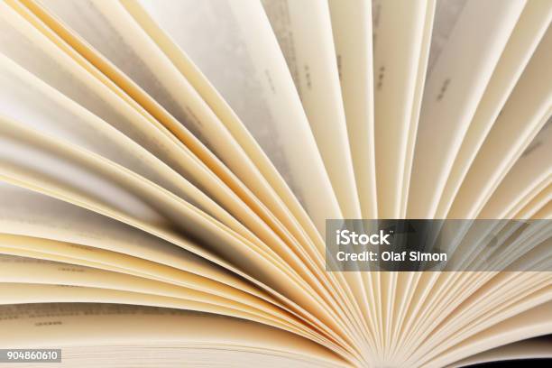 Closeup Of Book Pages Stock Photo - Download Image Now - Book, Page, Abstract