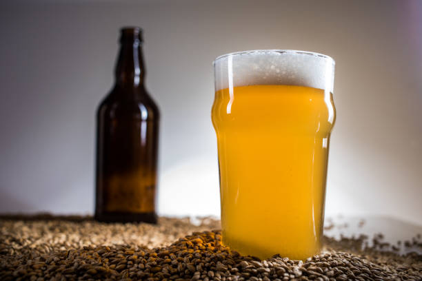 homebrew blonde pint e bottiglia vuota di birra su pislner malt grain - ale foto e immagini stock