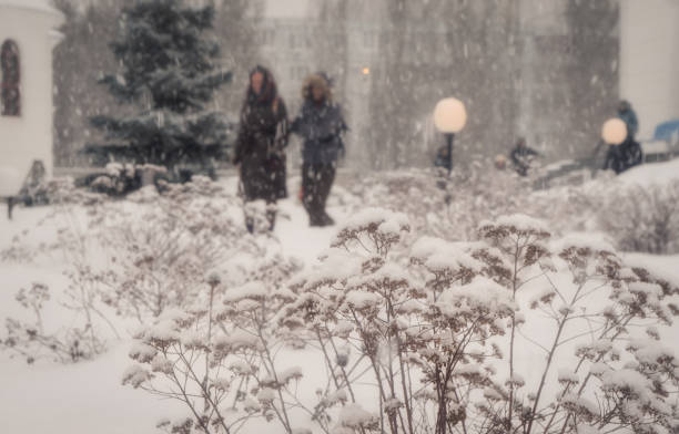 istock Winter.Snowfall in the city. 904864620