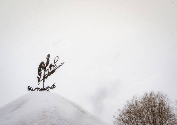 Winter.Snowfall in the city.Snow on the trees.Snowflakes are falling.Joyful mood.Selective focus.