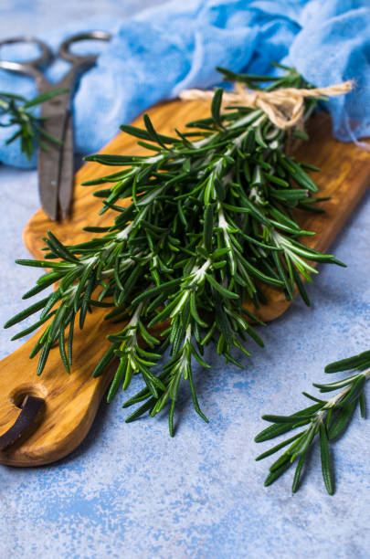 istock Branches of raw rosemary 904867290