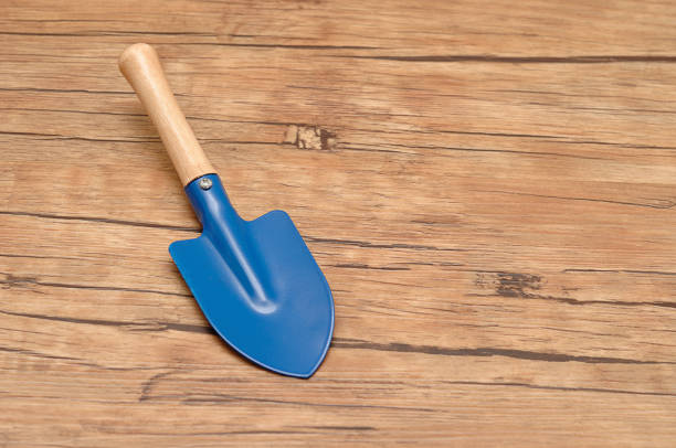 istock A small blue spade isolated on a wooden background 904869154