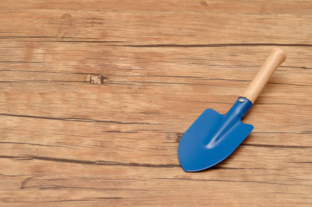 istock A small blue spade isolated on a wooden background 904871710