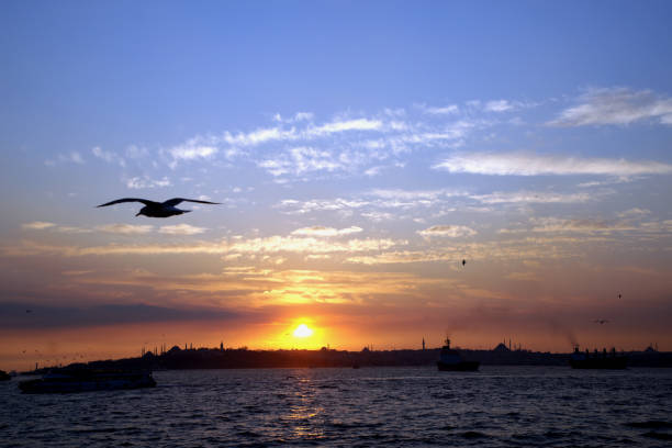 istock Historical peninsula of istanbul 904876700