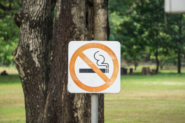 istock do not allow to smoking here in park 904880514