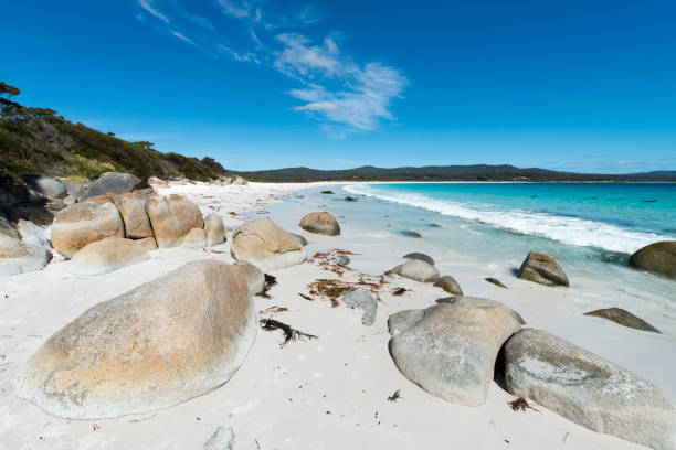 istock Bay of Fires, Tasmania, Australia 904884380
