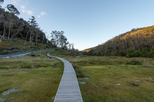 istock Cradle Mountain, Tasmania, Australia 904884656