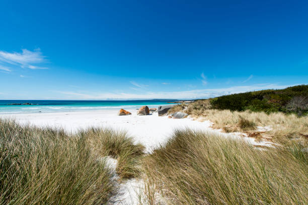 istock Bay of Fires, Tasmania, Australia 904887402