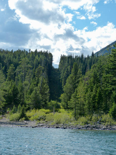 istock Canada and US border in Waterton National Park 904898836