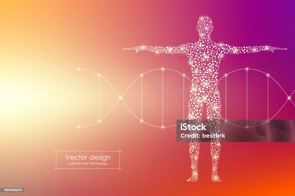 Human Vector Science Vector Human Body With Molecules Dna Medicine Science And Technology ...