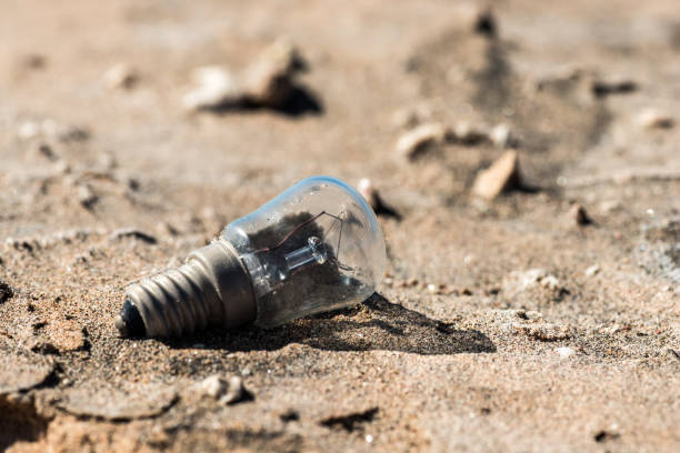 istock Light bulb on the sand in desert. Close-up. Macro. 904908768
