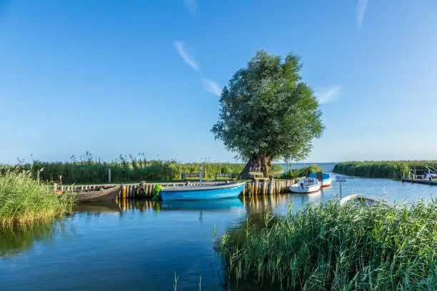 harbor at backwater in Zempin at the island of Usedom, Germany