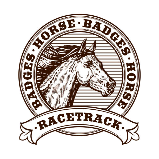 Horse racetrack badges. Graver badges vector illustration. Engraving illustration horse. Horse racetrack badges. Graver badges vector illustration. Engraving illustration horse. racetrack playa stock illustrations