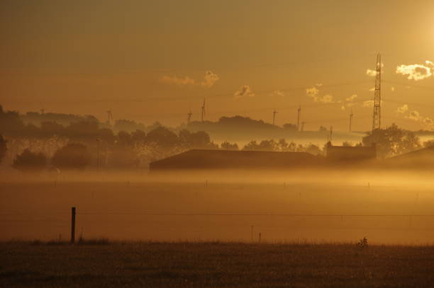 istock Misty sunrise over the country 904917052