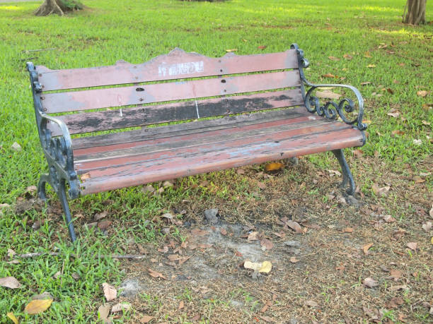 istock Old Wooden Bench in the garden 904922346