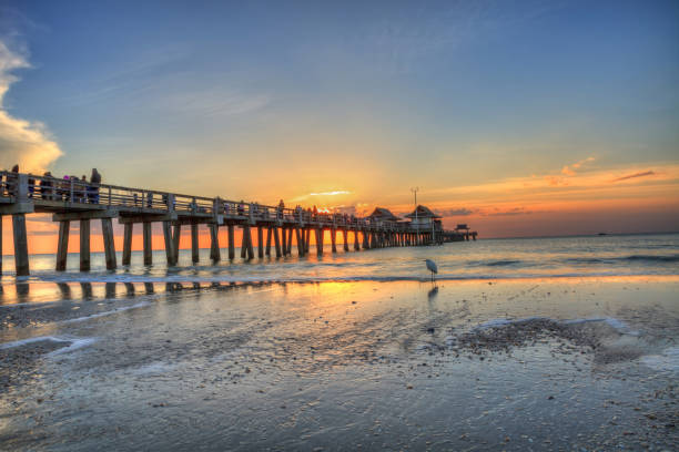 istock Naples Pier on the beach at sunset 904928908