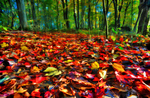 natures carpet in fall