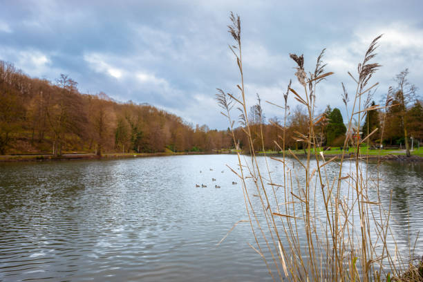 German-Franzoesischer Garten, a Park in Saarbrucken, Germany