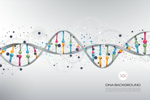 ilustraciones, imágenes clip art, dibujos animados e iconos de stock de adn resumen antecedentes - dna chromosome biology medicine