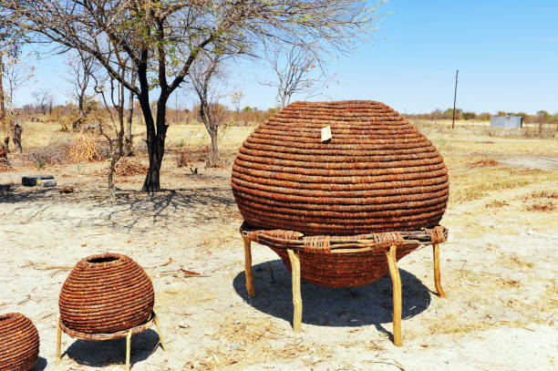 Traditional food storage baskets in Northern Namibia Traditional baskets made from wooden strips for sale along the road in Ovamboland near Ondangwa. These baskets are used for grain storage in the African village. granary stock pictures, royalty-free photos & images