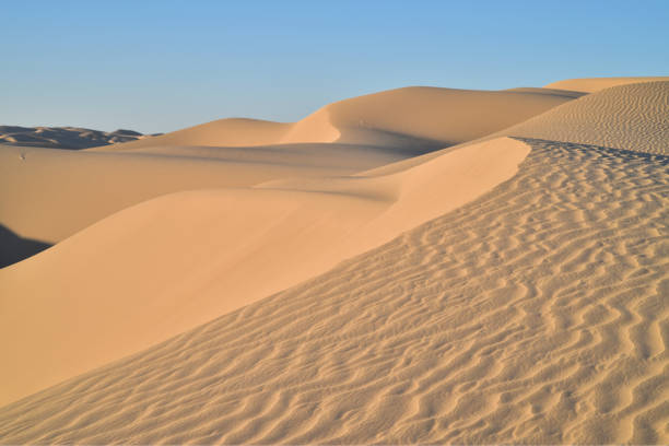 istock sand dunes Imperial Sand Dunes, California, USA 904936634
