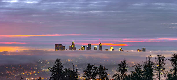 istock Los Angeles Skyline with Fog at Dawn Panorama 904940290