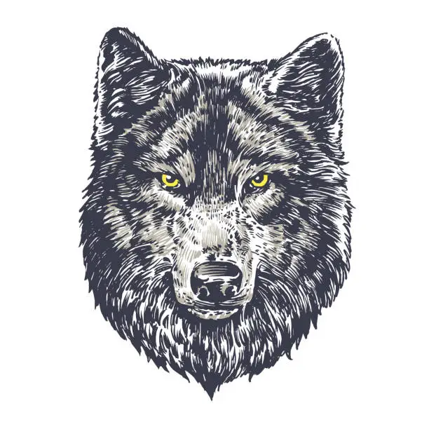 Vector illustration of Wolf dark on white background