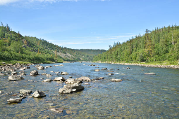 istock Summer landscape, northern river. 904943888