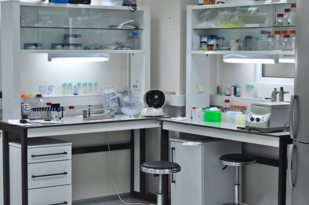 istock Interior of a modern biological laboratory. 904945064