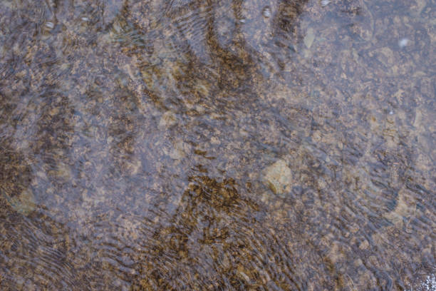 istock Running water in a creek - water background, texture 904947716
