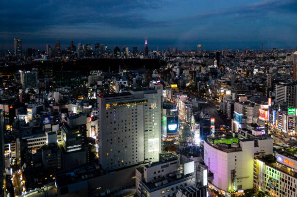 istock Tokyo urban skyline 904947722