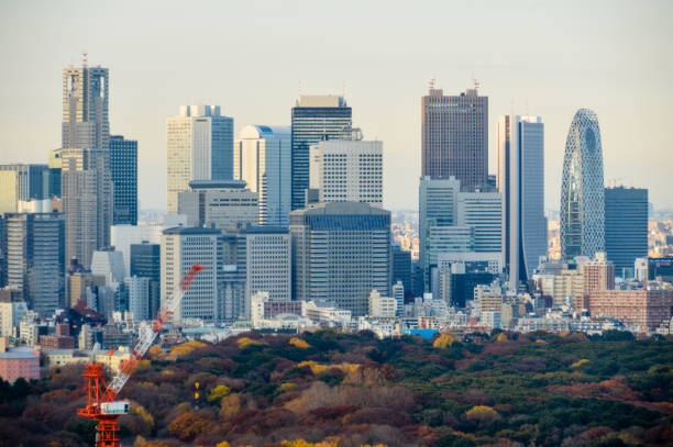 istock Tokyo urban skyline 904947888