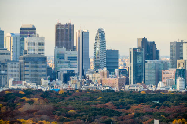 istock Tokyo urban skyline 904948090