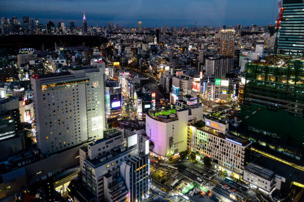 istock Tokyo urban skyline 904950458