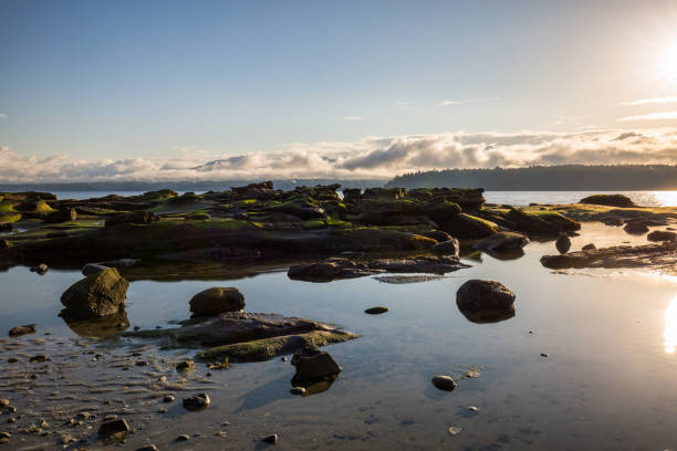 istock Hornby Island, BC, Canada 904951550