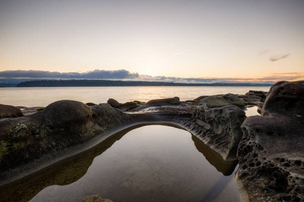 istock Hornby Island, BC, Canada 904951890