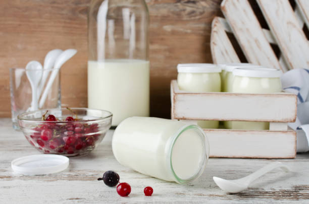 istock Fresh natural homemade organic yogurt with berries 904958320