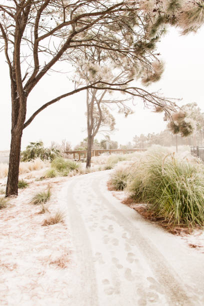istock Frozen Hilton Head, South Carolina 904964034