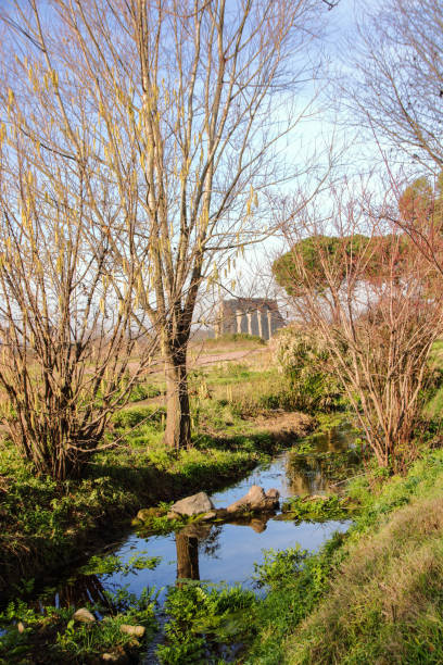 istock Aqueduct park on Appia street 904968154