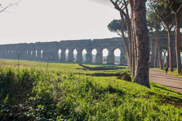 istock Aqueduct park on Appia street 904968334