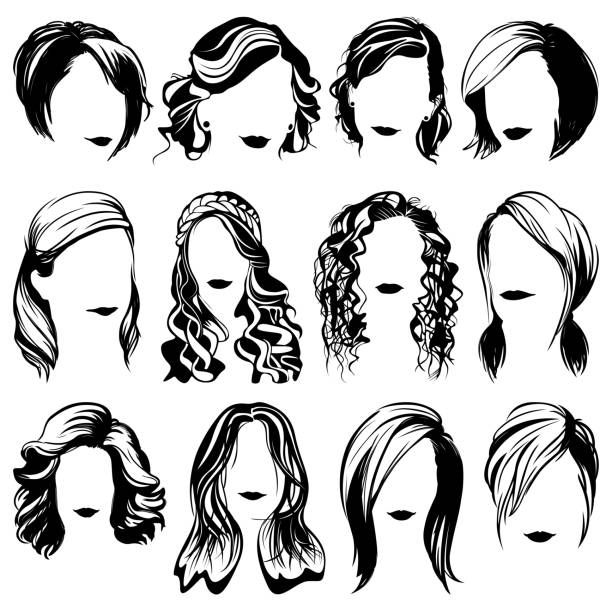 28 Dry Hair Model Illustrations & Clip Art - iStock