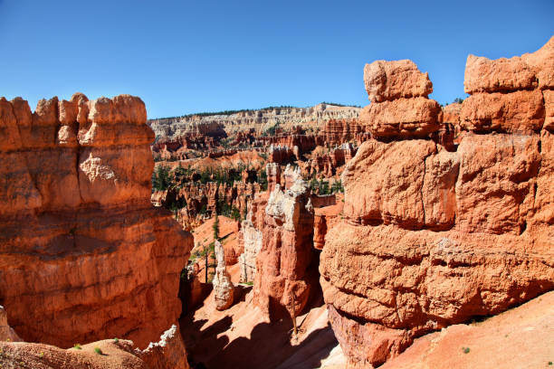 istock Eroded red canyon walls in Bryce Canyon National Park 904975360