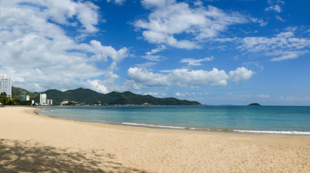 istock View of a tropical beach with blue sky in sunny day 904990142