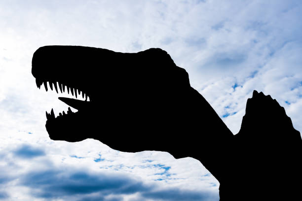 istock silhouette of a giant size Spinosaurus under blue sky 904991330