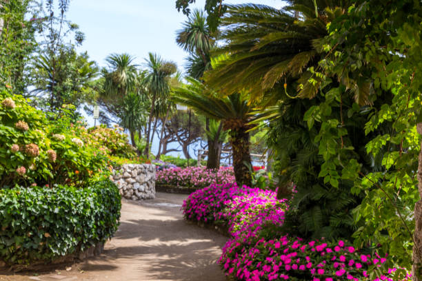 istock Ravallo on amalfi coast in Italy 905000898