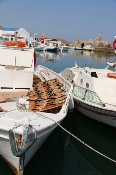 istock Fish Drying on the boat, Paros, Greece 905005010