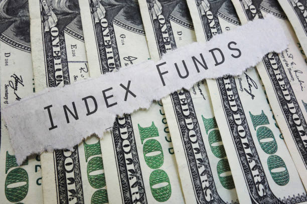 istock Index Funds investing concept 905007550