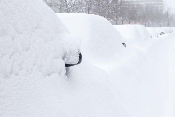 istock Cars Buried Under the Snow 905010258